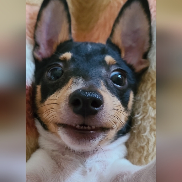 Meet your Posher, Tiff - Picture 5 of 16